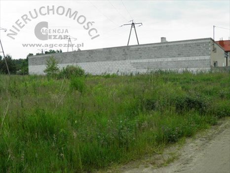 Lokal użytkowy na sprzedaż Mińsk Mazowiecki, Stojadła 250m2 Foto 6
