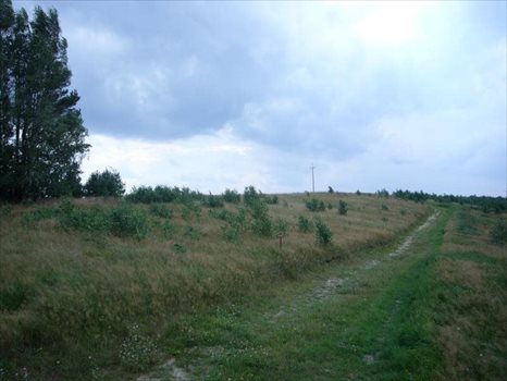 Działka budowlana na sprzedaż Gołubie, Okolice Ulicy Wczasowej 2 140m2 Foto 10