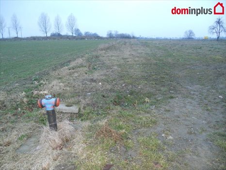 Działka inna na sprzedaż Kończewice 3 000m2 Foto 6