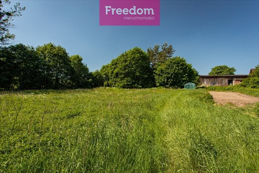 Działka siedliskowa na sprzedaż Graniczna Wieś, Jarzębinowa 6 000m2 Foto 4