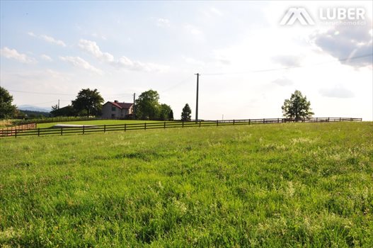 Działka budowlana na sprzedaż Bielowicko 3 223m2 Foto 11