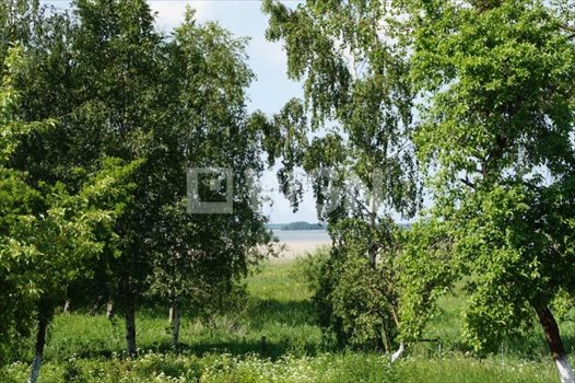 Działka budowlana na sprzedaż Wysoka, Wysoka, Wysoka 5 000m2 Foto 5