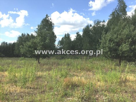 Działka budowlana na sprzedaż Ustanów 2 855m2 Foto 3