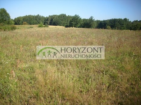 Działka budowlana na sprzedaż Gołubie 972m2 Foto 2
