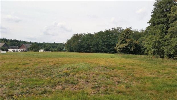 Działka inna na sprzedaż Ostrowo 2 499m2 Foto 1