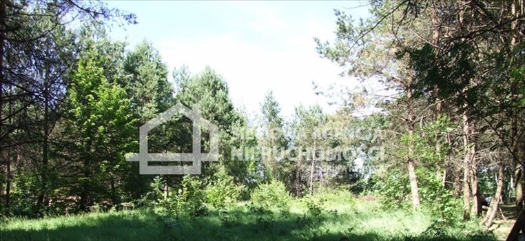 Działka budowlana na sprzedaż Gołubie 1 192m2 Foto 5