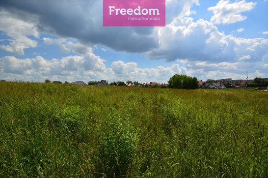 Działka budowlana na sprzedaż Siedliska 1 180m2 Foto 8