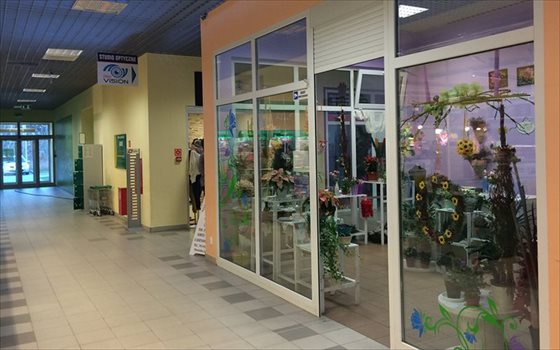 Lokal użytkowy na wynajem Bydgoszcz, gen. Władysława Bortnowskiego 71m2 Foto 3