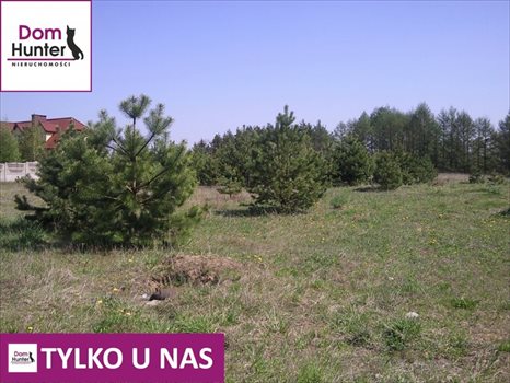 Działka budowlana na sprzedaż Gołubie 1 800m2 Foto 4