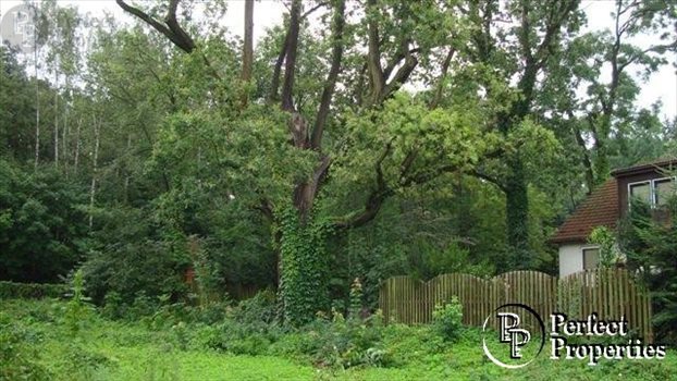 Działka budowlana na sprzedaż Warszawa, Wawer, Kościuszkowców 3 480m2 Foto 4
