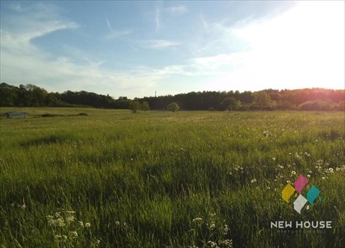 Działka budowlana na sprzedaż Nikielkowo, Dębowa 1 260m2 Foto 6