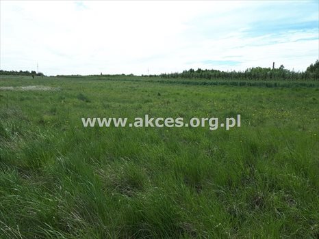 Działka inna na sprzedaż Komorniki 14 814m2 Foto 6