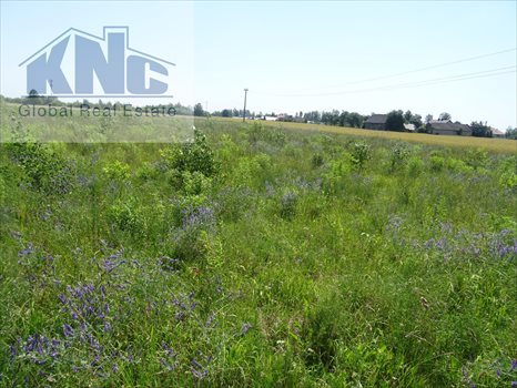 Działka budowlana na sprzedaż Poniatów 929m2 Foto 1