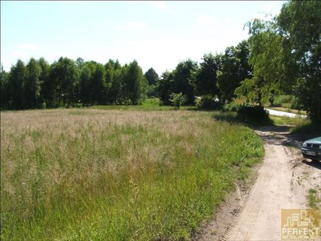 Działka inna na sprzedaż Kabikiejmy Dolne, Wieś, Kabikiejmy Dolne 5 000m2 Foto 1