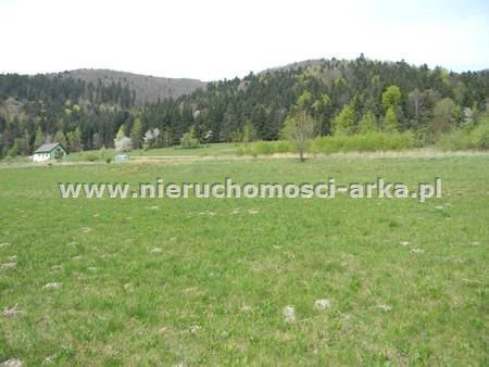 Działka budowlana na sprzedaż Pisarzowa 2 100m2 Foto 3