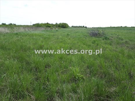 Działka inna na sprzedaż Komorniki 14 814m2 Foto 2