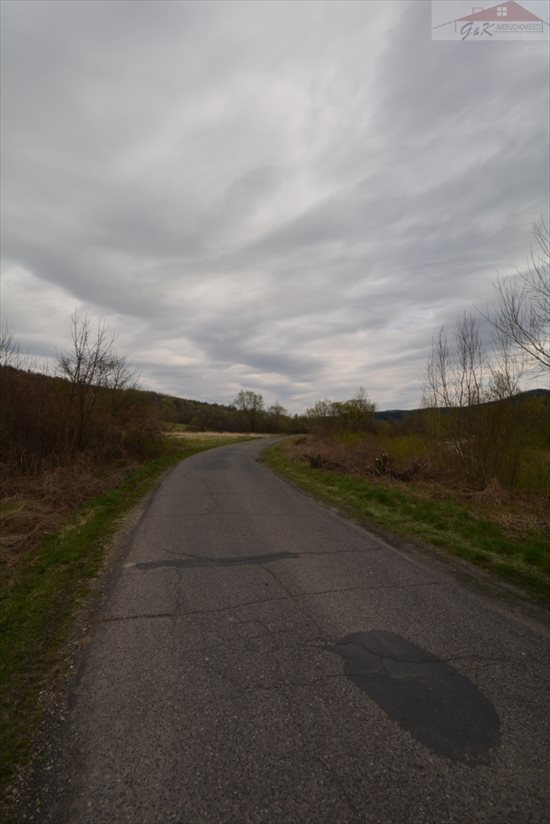 Działka rekreacyjna na sprzedaż Nowosiółki Dydyńskie 2 100m2 Foto 6