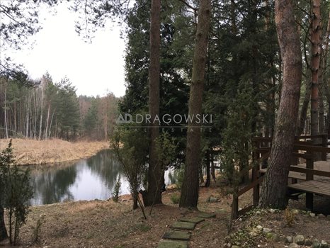Działka rekreacyjna na sprzedaż Wólka Mlęcka 4 500m2 Foto 7