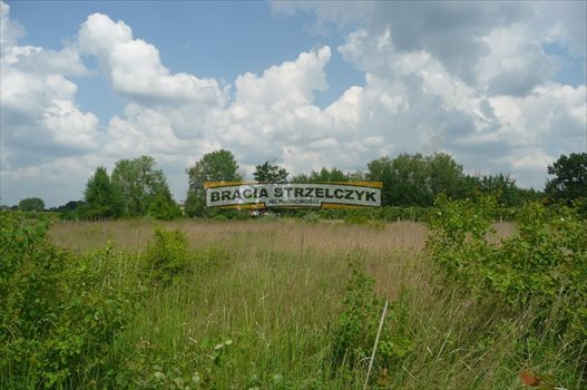 Działka budowlana na sprzedaż Dobiesz 4 992m2 Foto 2