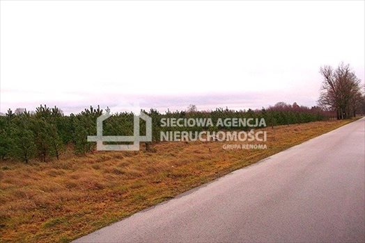 Działka leśna na sprzedaż Strzeczona 206 330m2 Foto 12