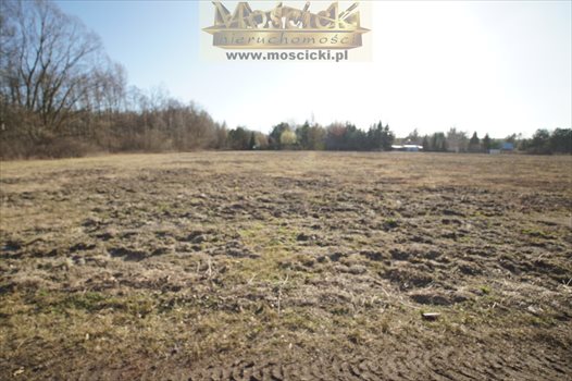 Działka budowlana na sprzedaż Nowy Prażmów 1 133m2 Foto 2