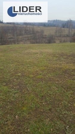 Działka budowlana na sprzedaż Nowy Sącz, Załubińcze 1 200m2 Foto 1
