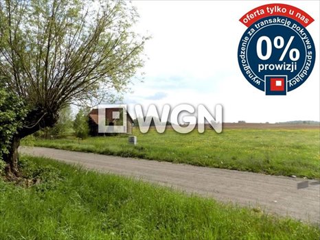 Działka inna na sprzedaż Krzywe 3 000m2 Foto 2
