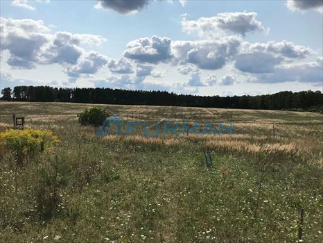 Działka rolna na sprzedaż Golin 96 399m2 Foto 2