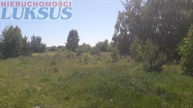 Działka budowlana na sprzedaż Nowe Racibory, Nowe Racibory 1 100m2 Foto 2