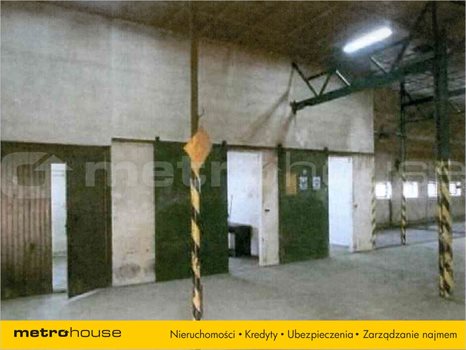 Lokal użytkowy na sprzedaż Rzeszów, Budziwój 1 100m2 Foto 5