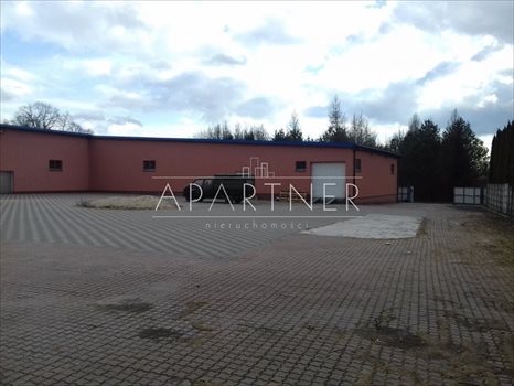 Lokal użytkowy na wynajem Łódź, Widzew 3 100m2 Foto 2