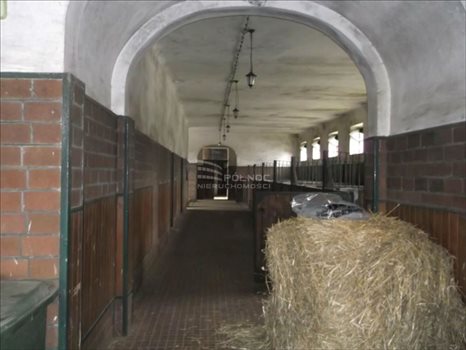 Lokal użytkowy na sprzedaż Leszno Dolne 1 200m2 Foto 4