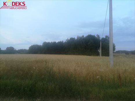 Działka rolna na sprzedaż Jackowo Dworskie 40 000m2 Foto 3