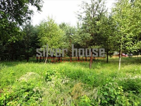 Działka budowlana na sprzedaż Puste Łąki 920m2 Foto 12