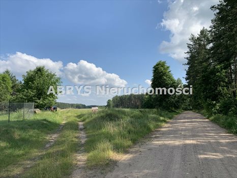 Działka budowlana na sprzedaż Lipowo Kurkowskie 3 101m2 Foto 2