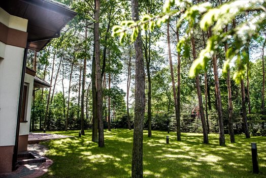 Dom na sprzedaż Józefów 440m2 Foto 3