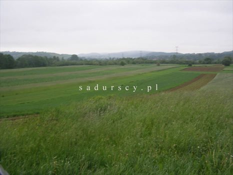 Działka inwestycyjna na sprzedaż Libertów 14 200m2 Foto 1