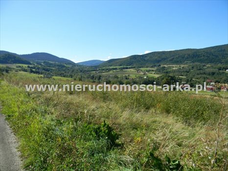 Działka budowlana na sprzedaż Skrzydlna 1 700m2 Foto 3
