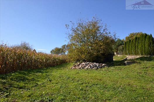 Działka budowlana na sprzedaż Wyszatyce 3 800m2 Foto 5