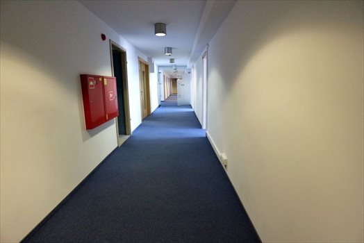 Lokal użytkowy na wynajem Poznań, Nowe Miasto, Starołęka, Starołęka 245m2 Foto 8