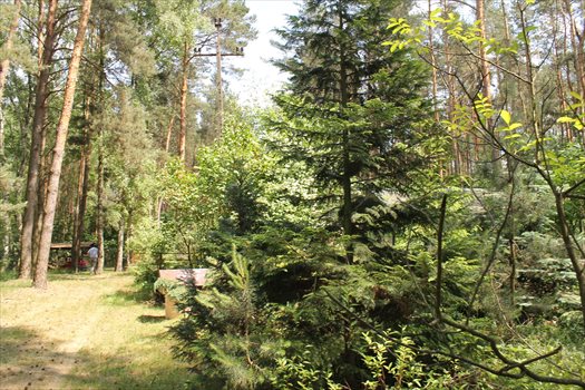 Dom na sprzedaż Kwiatkowice 50m2 Foto 3