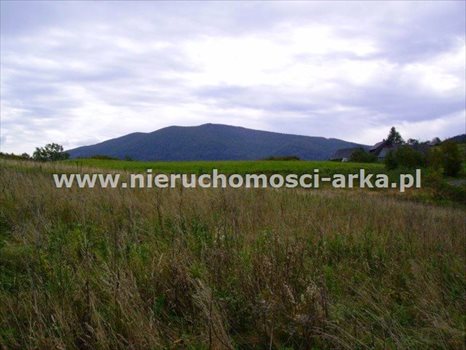 Działka budowlana na sprzedaż Skrzydlna 3 300m2 Foto 1