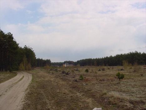 Działka inna na sprzedaż Czersk, Mieszkaniowa, TUCHOLSKA 15 939m2 Foto 3