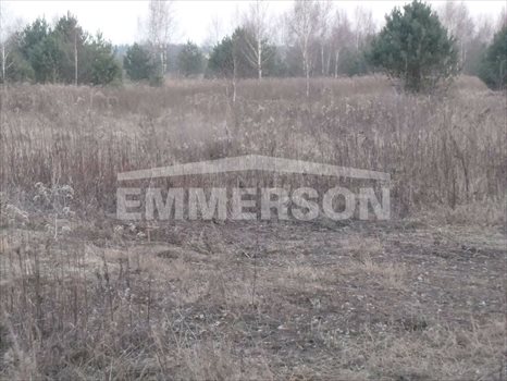 Działka przemysłowo-handlowa pod dzierżawę Łomianki, Majowa 2 000m2 Foto 2