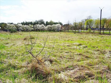 Działka inwestycyjna pod dzierżawę Grudziądz 4 500m2 Foto 2