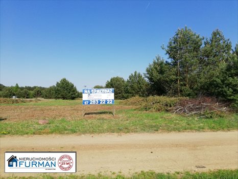 Działka inna na sprzedaż Laskowo 1 183m2 Foto 1