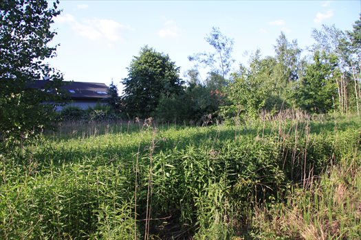Działka budowlana na sprzedaż Łoś, Lipowa 1G 937m2 Foto 4