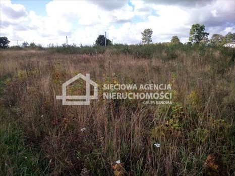 Działka budowlana na sprzedaż Krępa Kaszubska 831m2 Foto 2