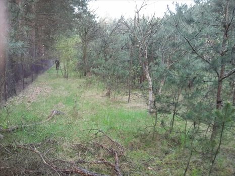 Działka budowlana na sprzedaż Ruda 6 100m2 Foto 6