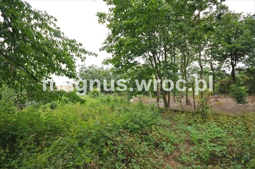Działka budowlana na sprzedaż Domanice 5 100m2 Foto 1